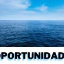 Oportunidade Para divulgações #10