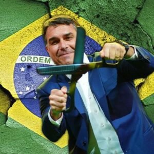 FLAVIOLINKS