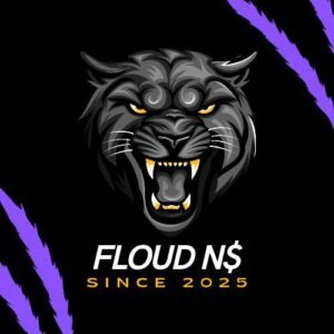 FLOUD N$💀🇫🇷