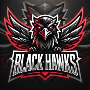 BLACK☬HAWKS recrutamento