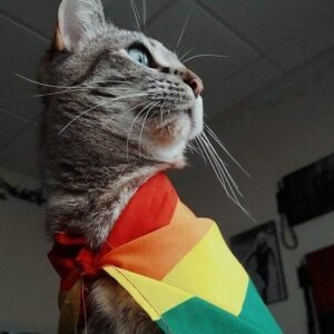 Our Planet 🏳️‍🌈