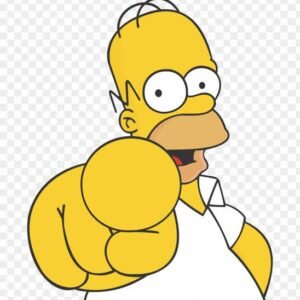 SEGUIDORES KWAI