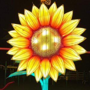 Musicas,videos,figurinhas