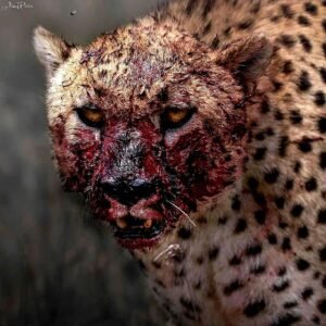Nature Is Metal