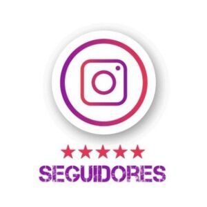 SEGUIDORES INSTAGRAM