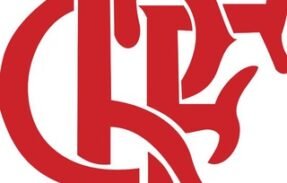 Flamengo❤️🖤🇦🇴🦅