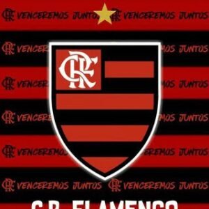 FLAMENGO NEWS