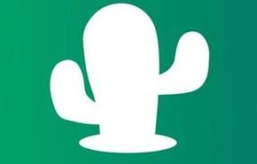 Vitrine da Cakto produtos 🌵
