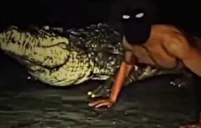 𝔸ℝ𝔼𝔸 𝟝𝟙