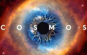 Cosmos