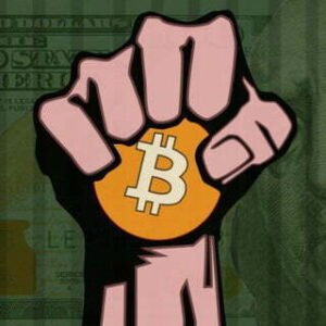 Bitcoin Maximalist – O Canal | pt-BR