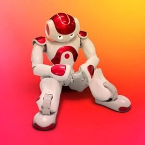 Robozinho Trader