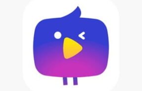 Nimo TV Seguidores