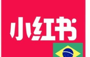 GRUPO DE REDNOTE BRASIL 🇧🇷 2025