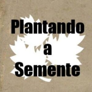 Plantando a Semente