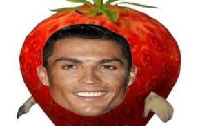 Memes Todos os dias
