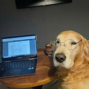 PROCURAMOS LIVROS EM PDF PARA VOCÊ