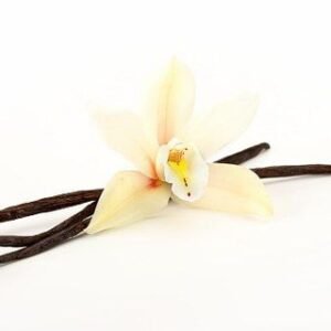 🌺 Reino das Orquídeas 💐