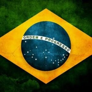 Notícias Brasil Patriota