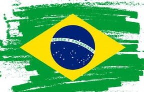 ENDIREITA SENADO 2022