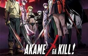 Akame ga kill