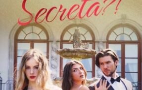 A ESPOSA DO CEO É A CHEFE SECRETA? – SÉRIE COMPLETA