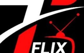 Top Flix