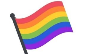 Amizade & Namoro LGBT 🏳‍🌈