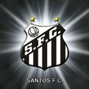 SANTOS F.C 🤍🖤