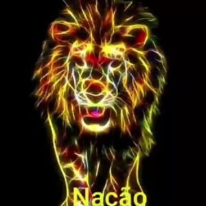 Sport Club do Recife 🎉