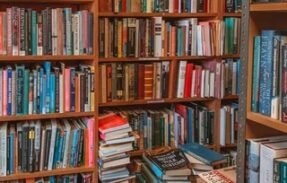 Canal de VIP ( Livros )