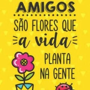 Divulga amigos