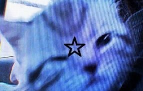 𝑫𝒓𝒂𝒎𝒂️ 𝑻𝒐𝒕𝒂𝒍