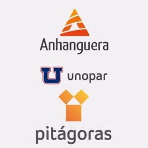 TCC – PORTFÓLIO – DESAFIO – RELATÓRIO DE ESTÁGIO – ANHANGUERA / UNOPAR / PITÁGORAS