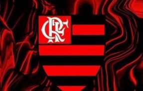FLAMENGO 2⃣0⃣2⃣4⃣