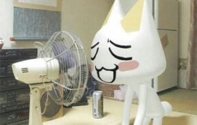 𝐊𝐢𝐭𝐚 𝐧𝐚𝐬𝐡𝐢