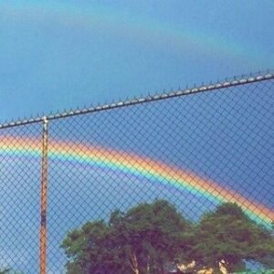 Os caras 🌈