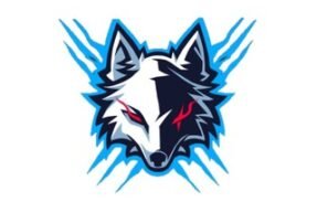 VENDAS DE SEGUIDORES TIKTOK