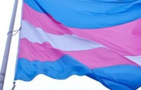 Trans interação e auto ajuda