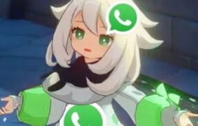 amigos do whatsapp