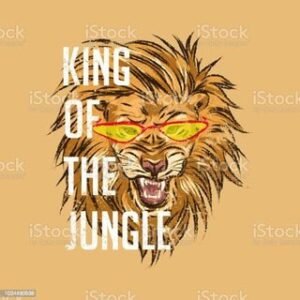 The King Binarias Free – Sinais ll