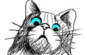 Gato Zuado Memes