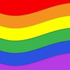 Gays da pisadinha