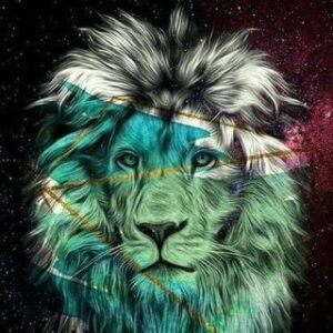 KingTec – Internet