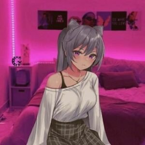 Otakus e Otomes