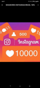 SEGUIDORES INSTAGRAM BRASIL 100