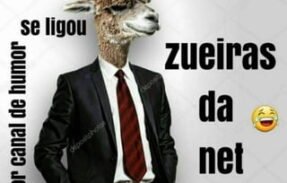 Zueira da net 😂