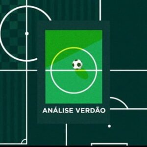 GRUPO DE DISCUSSÃO – Análise Verdão