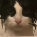NOITE SEM FIM