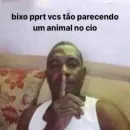 amzds